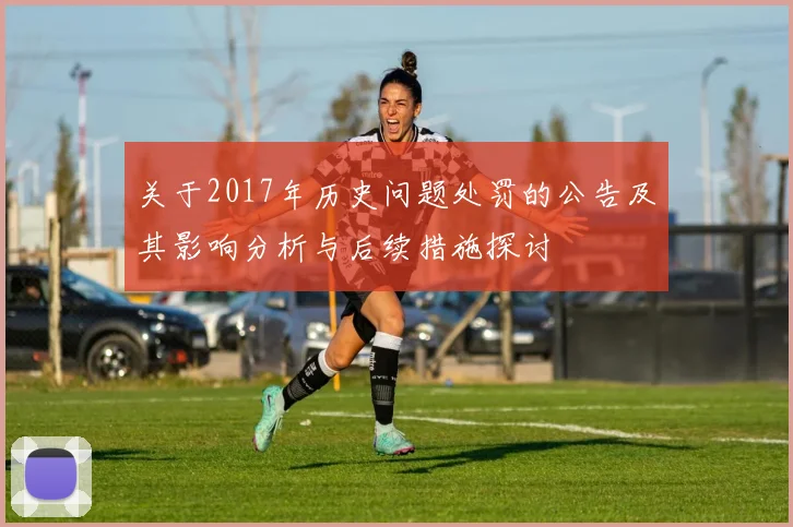 关于2017年历史问题处罚的公告及其影响分析与后续措施探讨